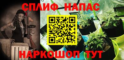 mdpv Можга
