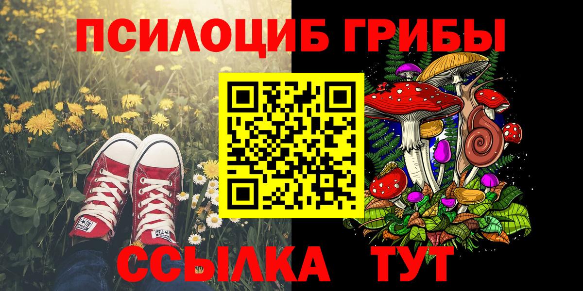 Галлюциногенные грибы Psilocybine cubensis Троицк